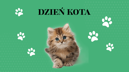Dzień Kota