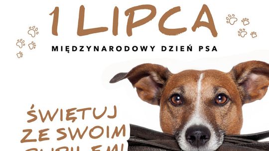 Dzień Psa