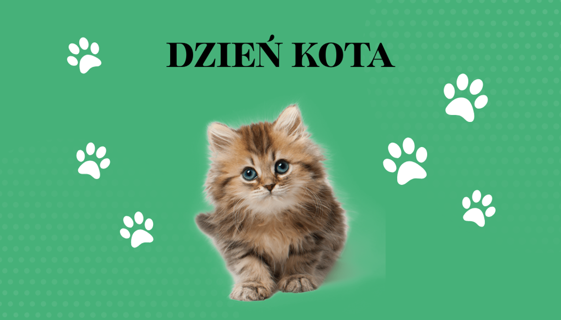Dzień Kota