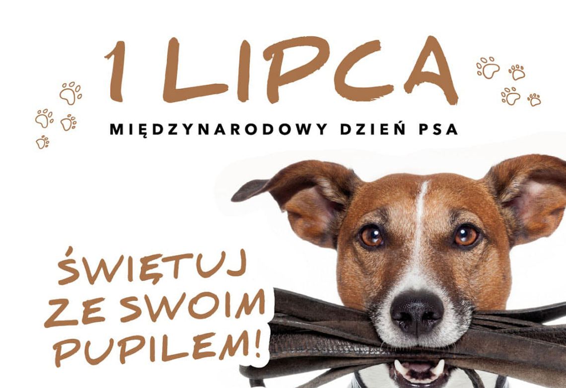 Dzień Psa