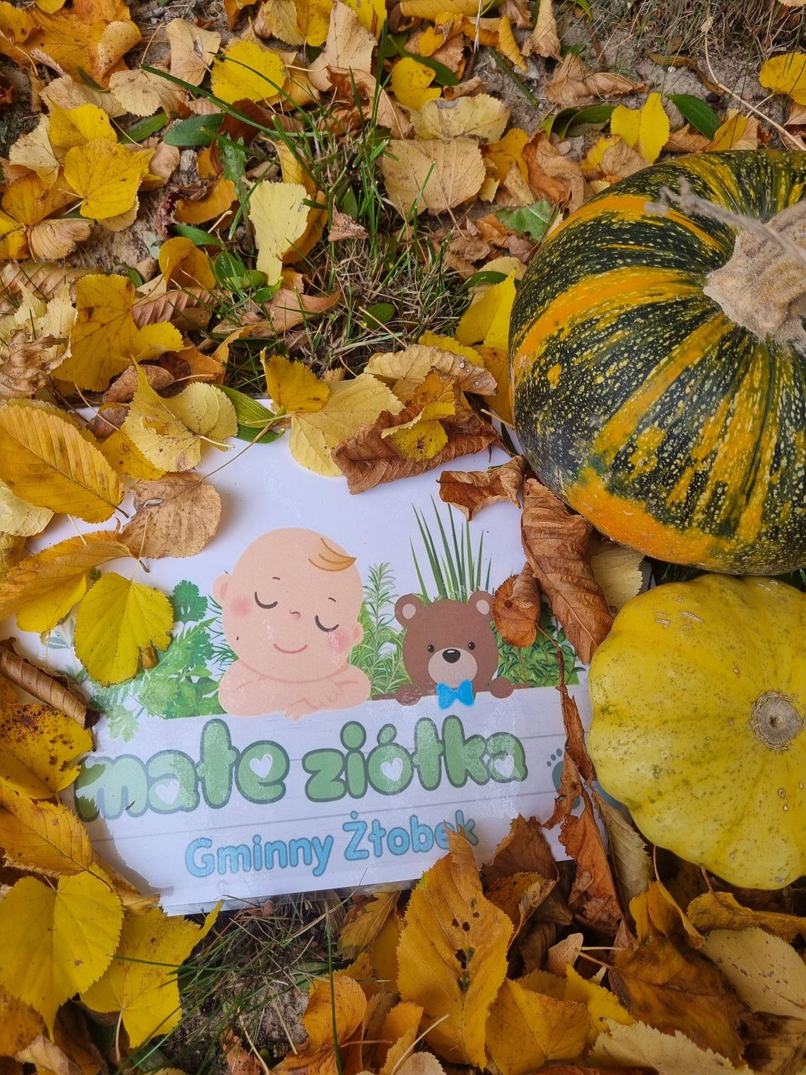 Jesień w naszym żłobku Jesień w "Małych Ziółkach"
