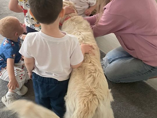 Ostatnie zajęcia z dogoterapii przed wakacjami :)