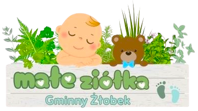 Gminny Żłobek w Boniewie